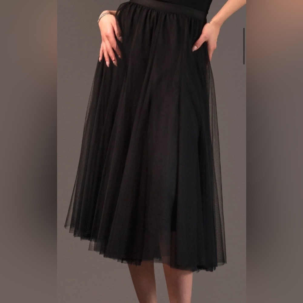 Tulle a line skirt NWT